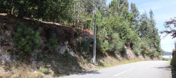 28058m² Land in Geme, Portugal No. 33273 41