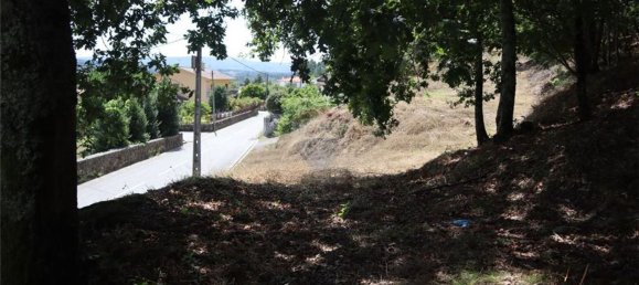 28058m² Land in Geme, Portugal No. 33273 28