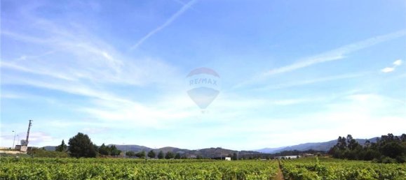 28058m² Land in Geme, Portugal No. 33273 48