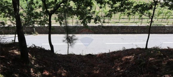 28058m² Land in Geme, Portugal No. 33273 26