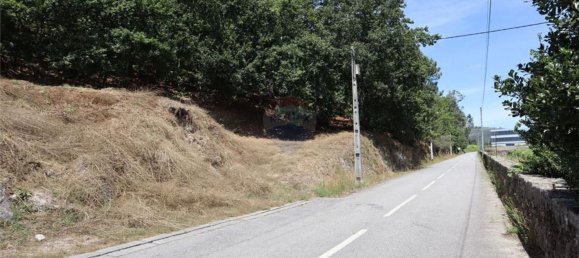 28058m² Land in Geme, Portugal No. 33273 46