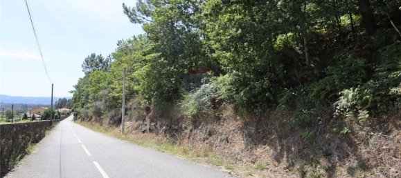 28058m² Land in Geme, Portugal No. 33273 5