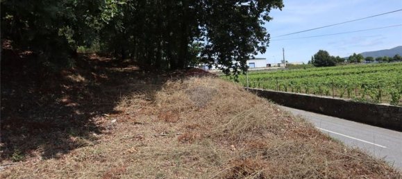 28058m² Land in Geme, Portugal No. 33273 14