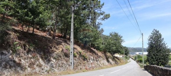 28058m² Land in Geme, Portugal No. 33273 42