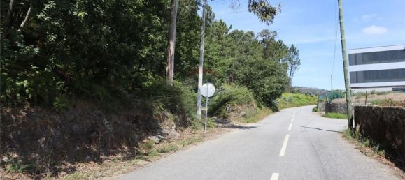 28058m² Land in Geme, Portugal No. 33273 6