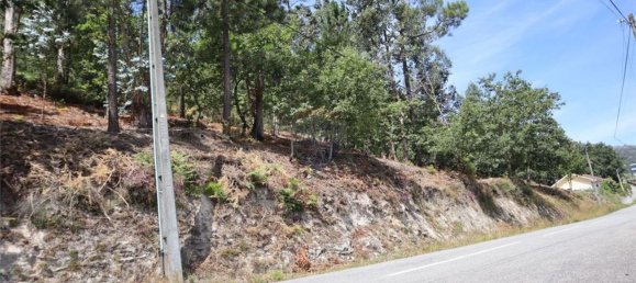 28058m² Land in Geme, Portugal No. 33273 43