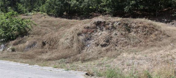 28058m² Land in Geme, Portugal No. 33273 11