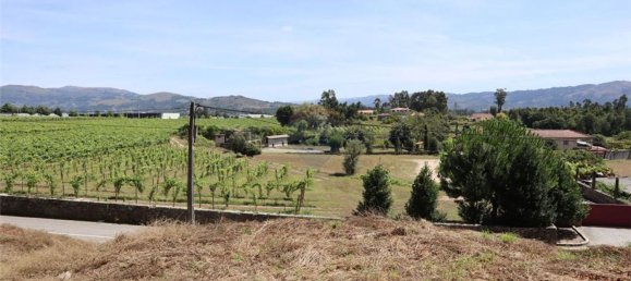28058m² Land in Geme, Portugal No. 33273 15