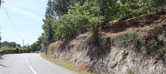 28058m² Land in Geme, Portugal No. 33273 34