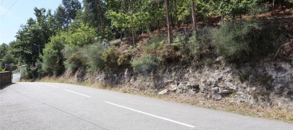 28058m² Land in Geme, Portugal No. 33273 35