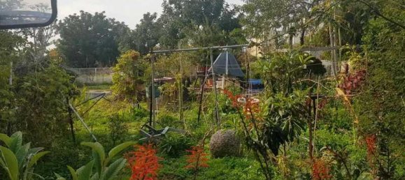 Propiedad comercial de 6 dormitorios en Erimi, Cyprus No. 106058 10