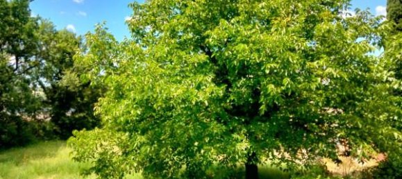 6-Zimmer Villa in Nocera Umbra, Italy, Nr. 74174 12