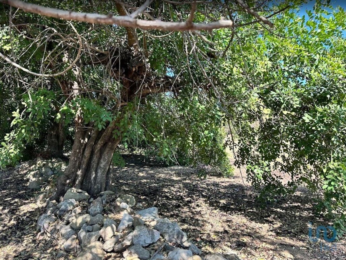 Terrain à Tavira, Portugal 3700m² No. 305087