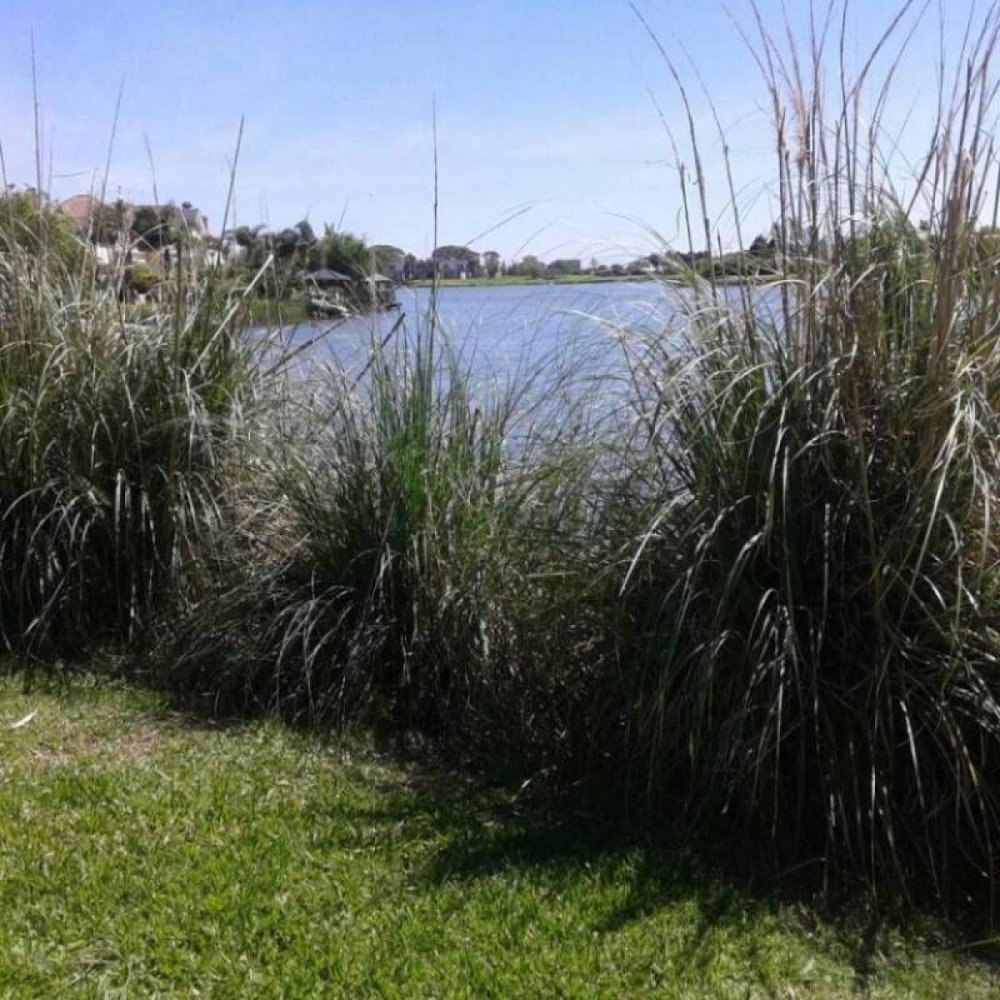  قطعة أرض في Tigre, Argentina رقم 31571