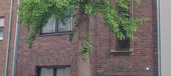 2 rooms Apartment in Monchengladbach, Germany No. 241807 2