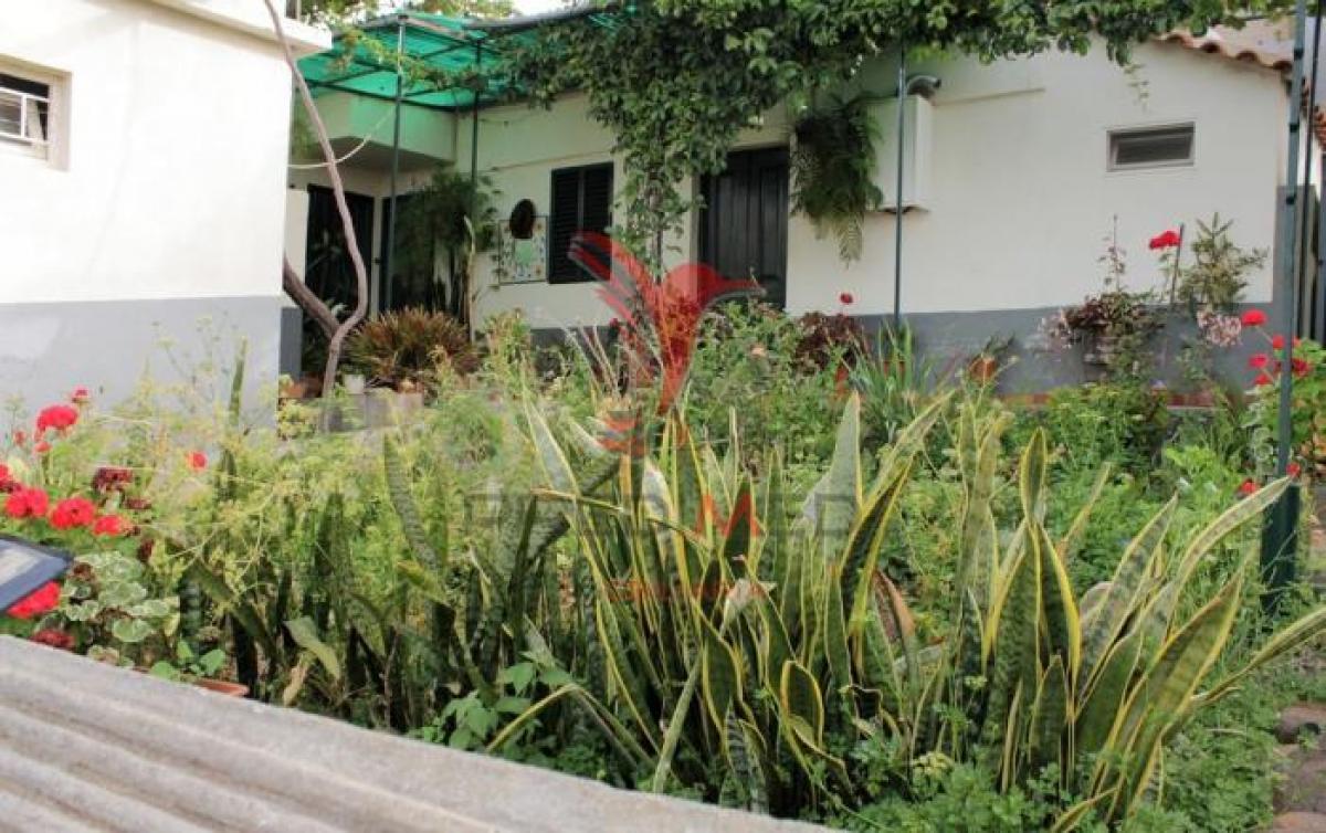 3 bedrooms House in Funchal, Portugal No. 614