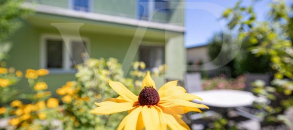 3 bedrooms House in Favoriten, Austria No. 210193 3