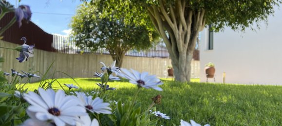 3 Schlafzimmer Haus in San Cristobal de La Laguna, Spain, Nr. 125800 20