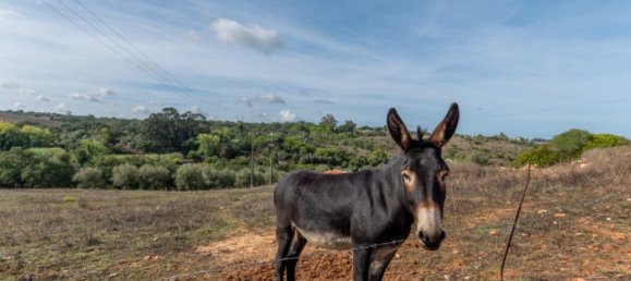 3 bedrooms House in Santiago do Cacem, Portugal No. 139963 10