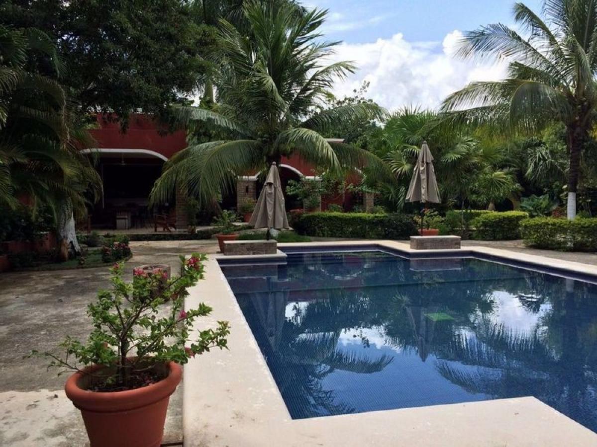 3 bedrooms House in Mexico No. 187437