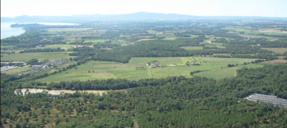 10 bedrooms Land in Castiglione del Lago, Italy No. 172211 4