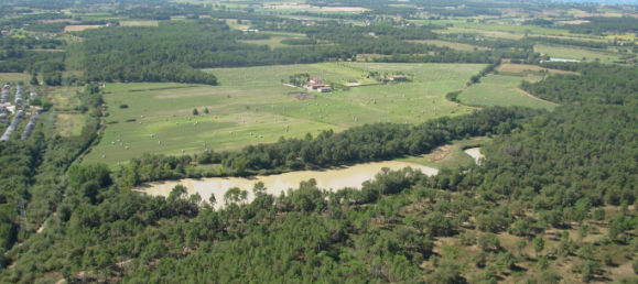 10 bedrooms Land in Castiglione del Lago, Italy No. 172211 3