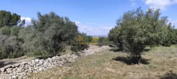 2 bedrooms House in Tarragona, Spain No. 164489 16