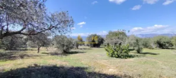 2 bedrooms House in Tarragona, Spain No. 164489 17