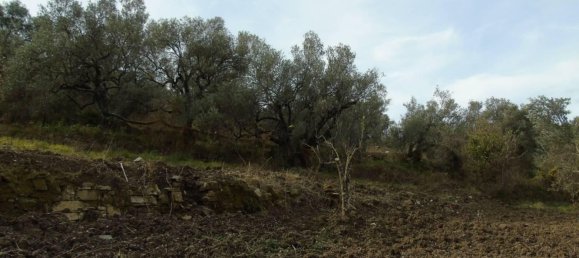 Земельный участок 5000м² в Сан Мауро Чиленто, Италия № 297059 9