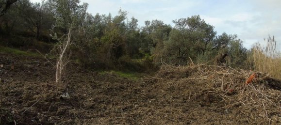 Земельный участок 5000м² в Сан Мауро Чиленто, Италия № 297059 11