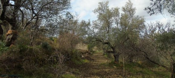 Земельный участок 5000м² в Сан Мауро Чиленто, Италия № 297059 5