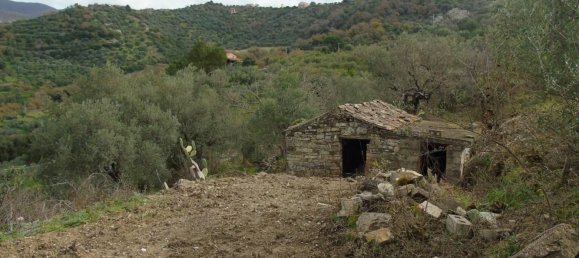 Земельный участок 5000м² в Сан Мауро Чиленто, Италия № 297059 2