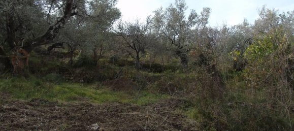 Земельный участок 5000м² в Сан Мауро Чиленто, Италия № 297059 8