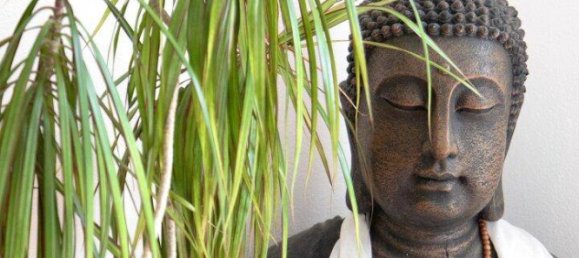 5-salle Maison à Gramastetten, Austria No. 250600 15