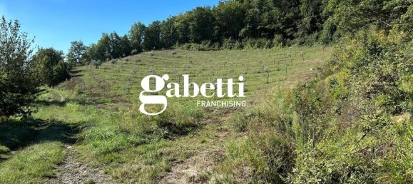 5 rooms House in Denice, Italy No. 153513 6