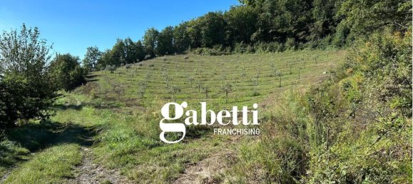 5 rooms House in Denice, Italy No. 153513 5