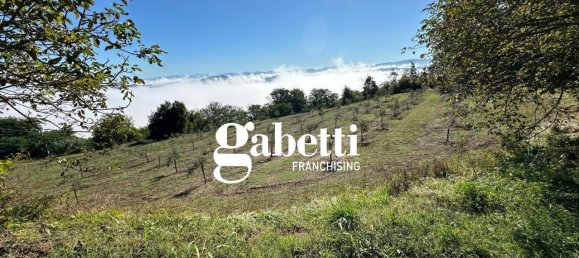 5 rooms House in Denice, Italy No. 153513 7