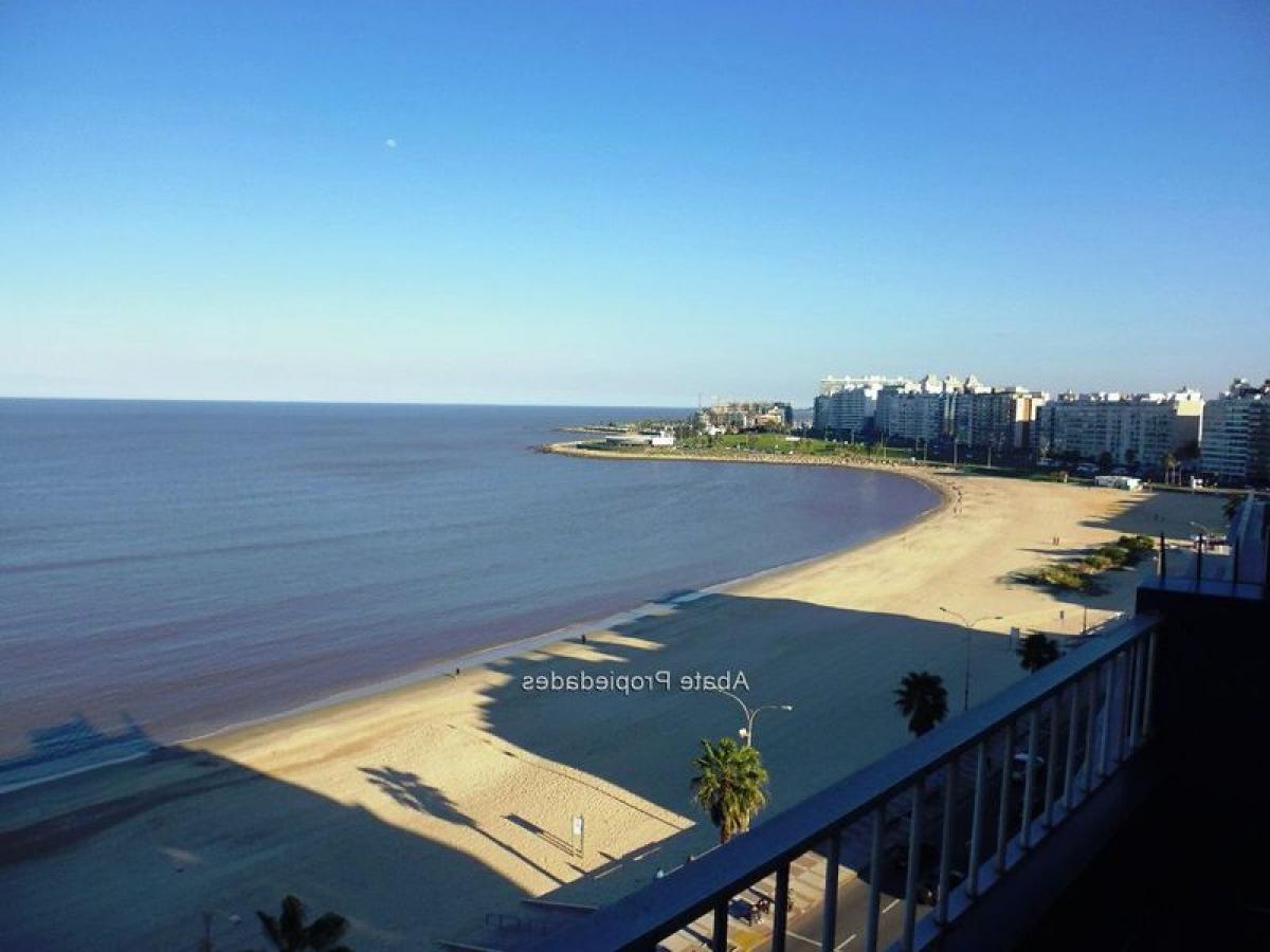 2 bedrooms Apartment in Montevideo, Uruguay No. 5240