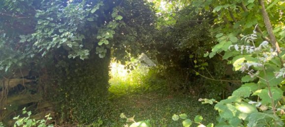 3 bedrooms House in Montoggio, Italy No. 81546 16