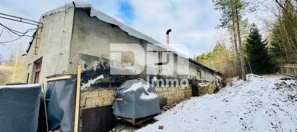  مستودع في Greiz, Germany 4310متر مربع رقم 53156 10