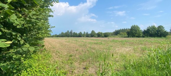 12110m² Land in Pordenone, Italy No. 273722 8