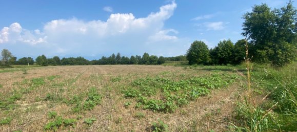 12110m² Land in Pordenone, Italy No. 273722 6