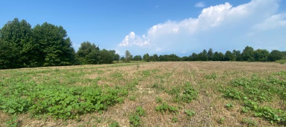 12110m² Land in Pordenone, Italy No. 273722 5