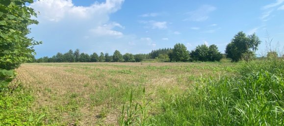 12110m² Land in Pordenone, Italy No. 273722 2