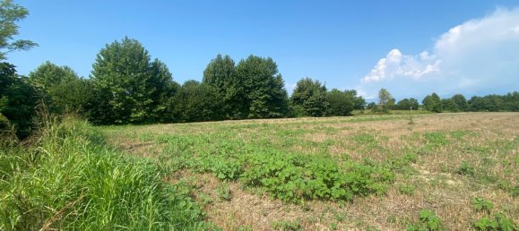 12110m² Land in Pordenone, Italy No. 273722 4