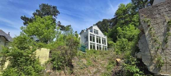 10-Zimmer Villa in Hinterbrühl, Austria, Nr. 103842 9