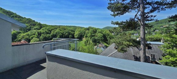 10-Zimmer Villa in Hinterbrühl, Austria, Nr. 103842 4