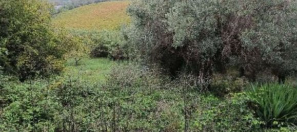 Apartamento T2 em Casalbordino, Italy N.º 325596 3