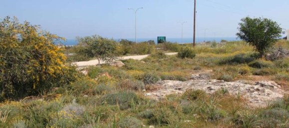  Land in Protaras, Cyprus No. 24074 3