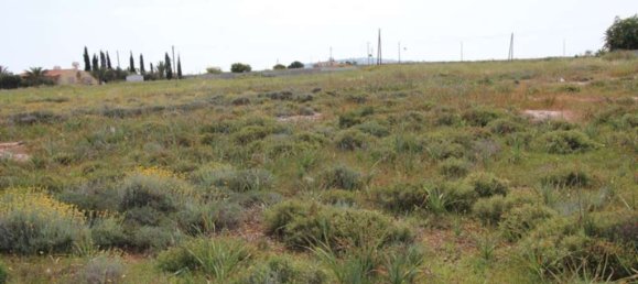  Land in Protaras, Cyprus No. 24074 2